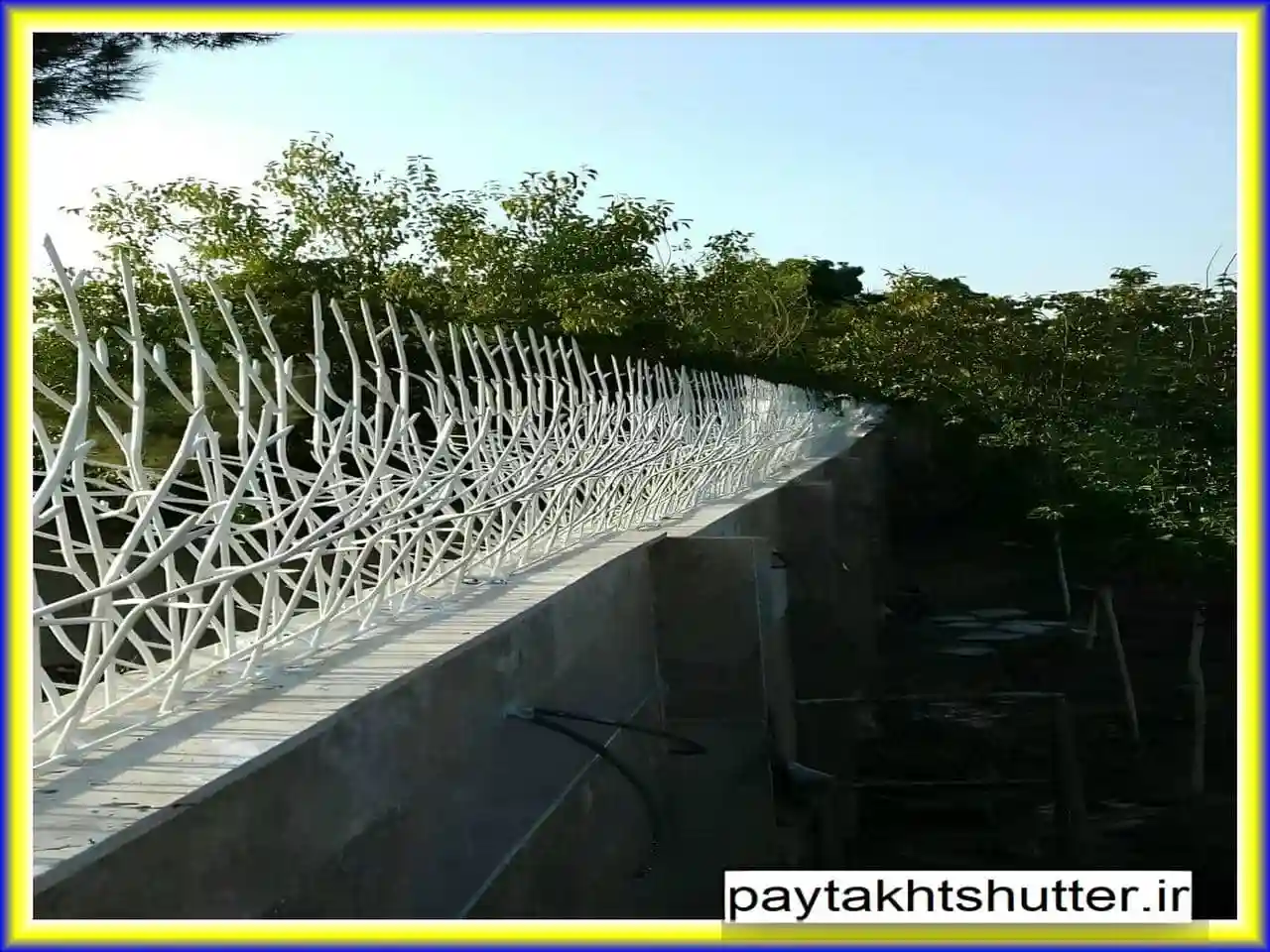 حفاظ شاخ گوزنی