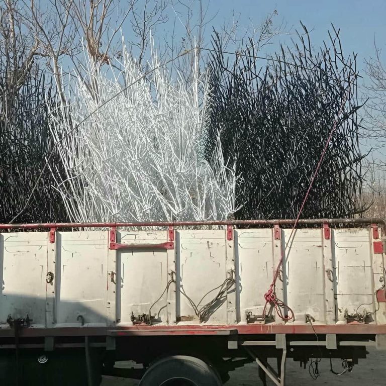 حفاظ شاخ گوزنی چیست