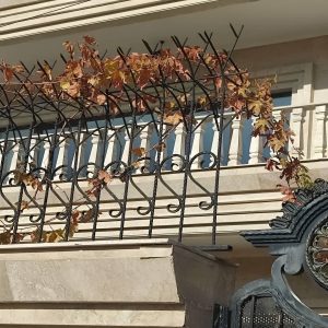 حفاظ شاخ گوزنی آهنی در یزد