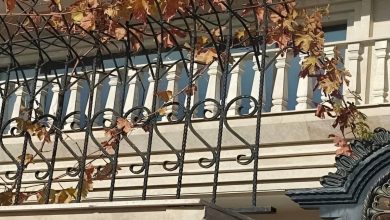 حفاظ شاخ گوزنی آهنی در یزد