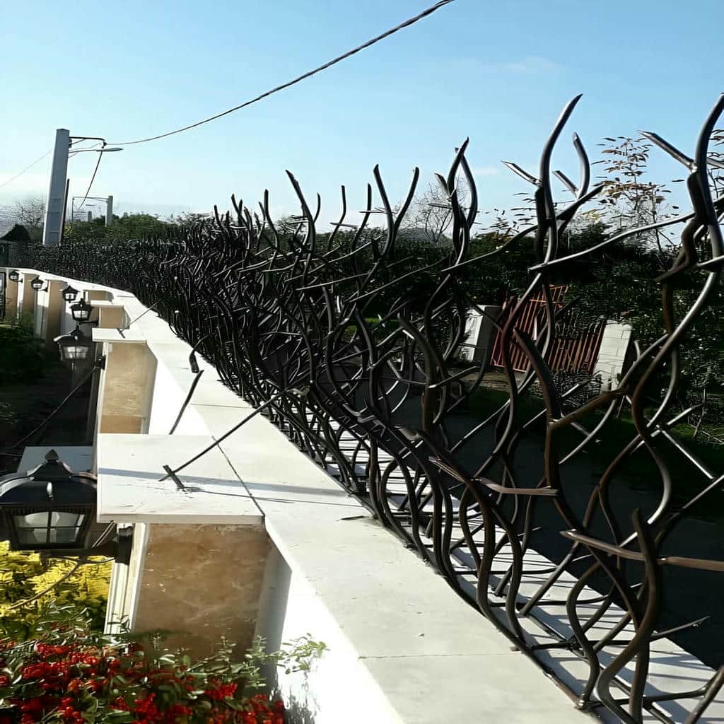 حفاظ شاخ گوزنی آهنی در چابهار