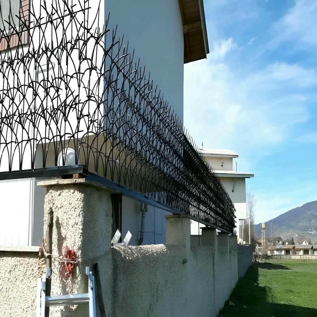 قیمت حفاظ شاخ گوزنی نوع رنگ در استان گیلان