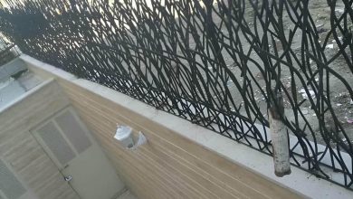 حفاظ شاخ گوزنی آهنی در رشت