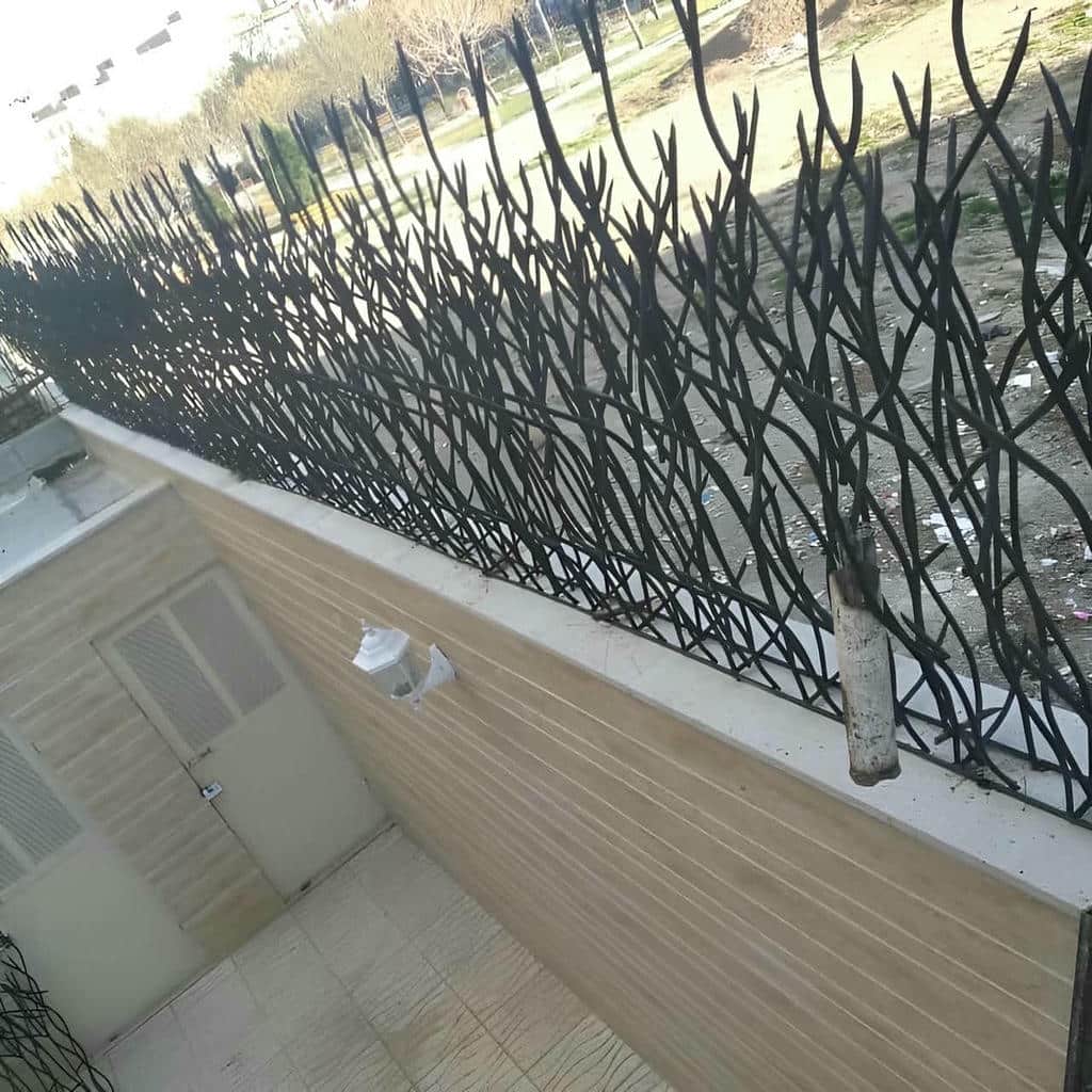 حفاظ شاخ گوزنی آهنی در رشت