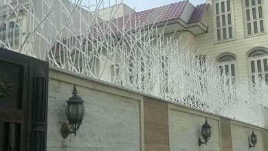 حفاظ شاخ گوزنی آهنی در قائمشهر