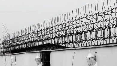حفاظ شاخ گوزنی آهنی در ارومیه