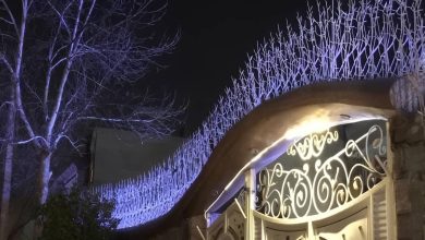 حفاظ شاخ گوزنی آهنی در بابل