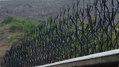حفاظ شاخ گوزنی آهنی در شهریار
