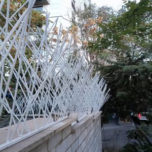 حفاظ شاخ گوزنی آهنی در زاهدان