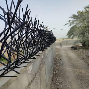 حفاظ شاخ گوزنی آهنی در سیرجان
