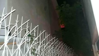 حفاظ شاخ گوزنی آهنی در نظرآباد