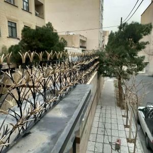 حفاظ شاخ گوزنی آهنی در گرگان
