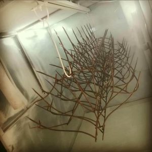 حفاظ شاخ گوزنی در خرم آباد