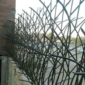 حفاظ شاخ گوزنی آهنی در قزوین