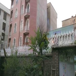 حفاظ شاخ گوزنی در کرمان