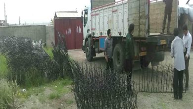حفاظ شاخ گوزنی آهنی در اردبیل