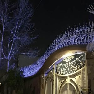 حفاظ شاخ گوزنی آهنی در طالقان