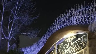 حفاظ شاخ گوزنی آهنی در طالقان