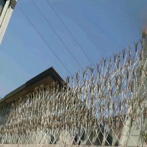 حفاظ شاخ گوزنی آهنی در کرج