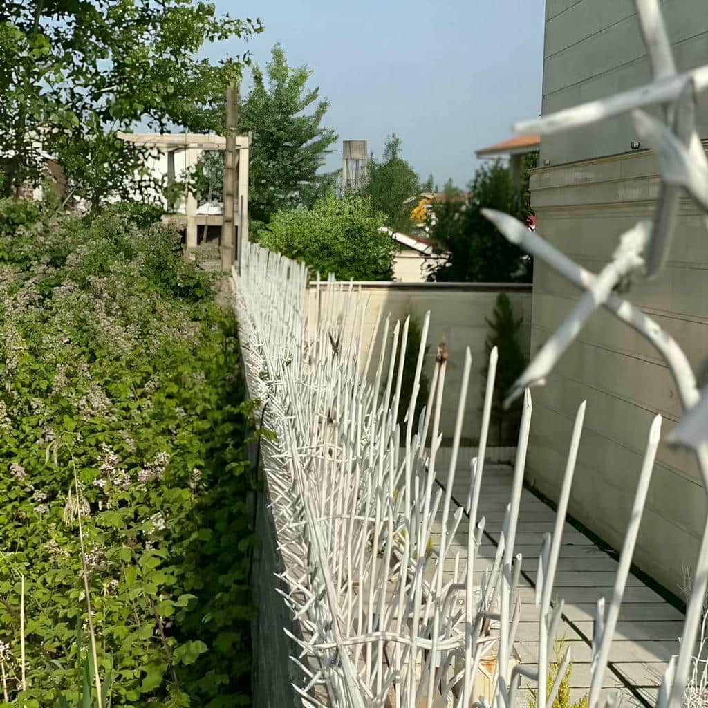 کارخانه حفاظ شاخ گوزنی آهنی روی دیوار در گرگان