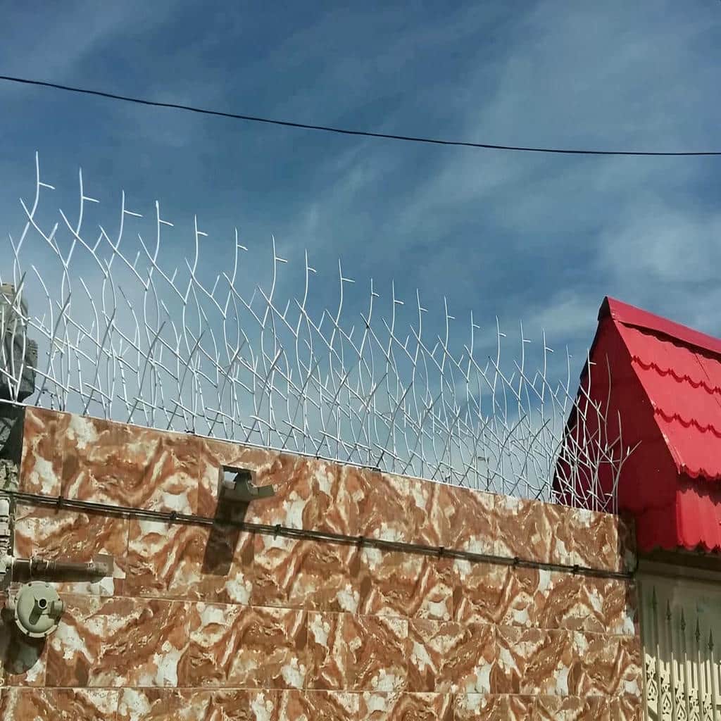 قیمت حفاظ شاخ گوزنی آهنی باغ در فشم