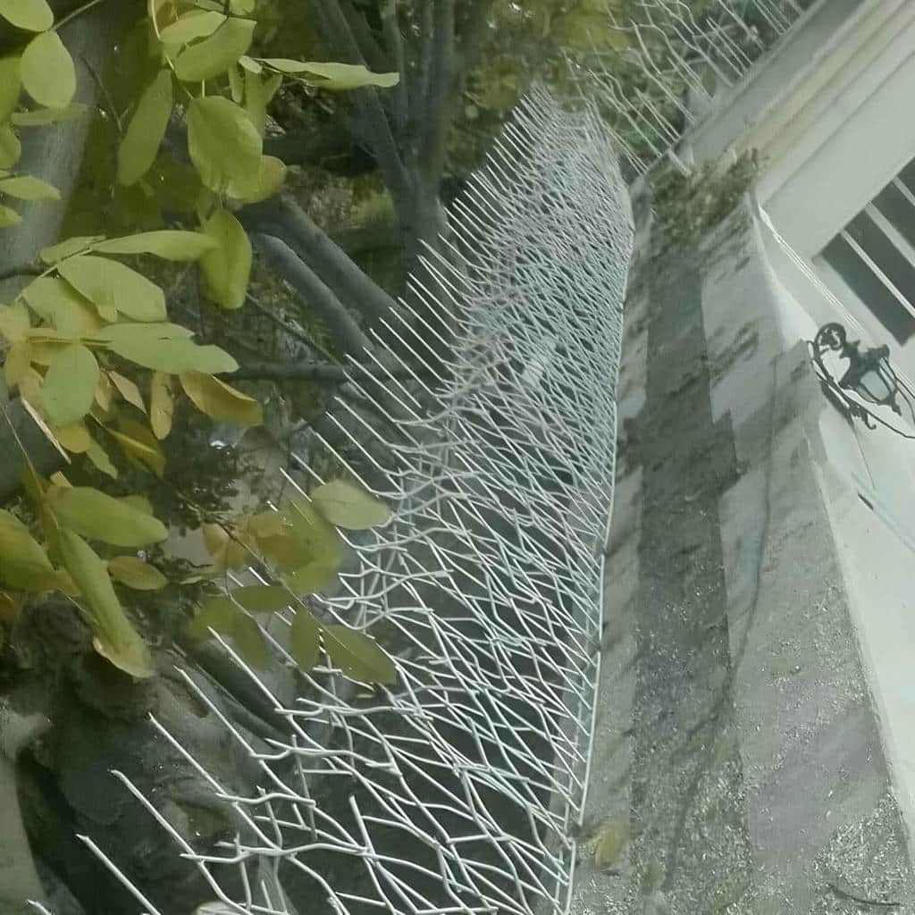 فروش حفاظ شاخ گوزنی ضدسرقت در نسیم شهر