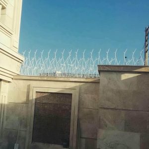 حفاظ شاخ گوزنی آهنی در دماوند