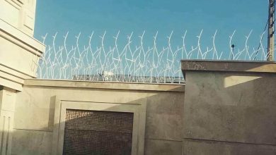حفاظ شاخ گوزنی آهنی در دماوند