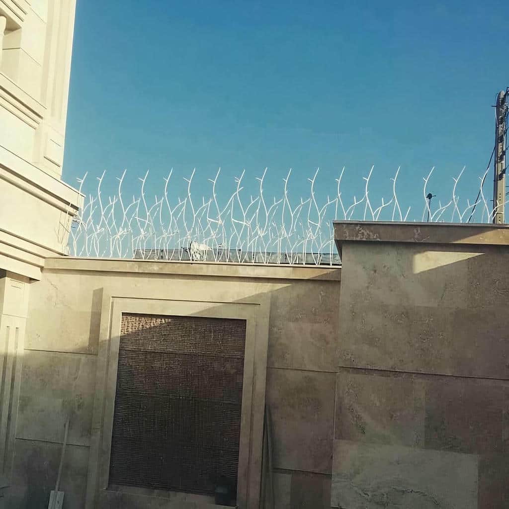حفاظ شاخ گوزنی آهنی در دماوند