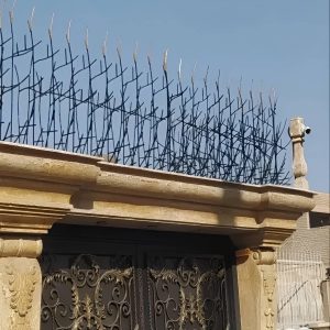 حفاظ شاخ گوزنی آهنی در اصفهان
