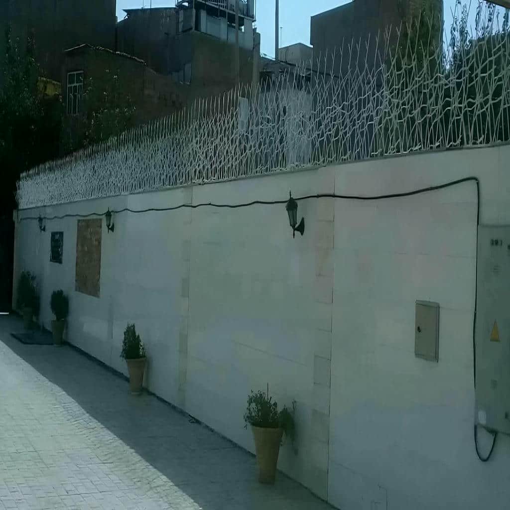 کارخانه حفاظ شاخ گوزنی حفاظ روی دیوار در عظیمیه کرج