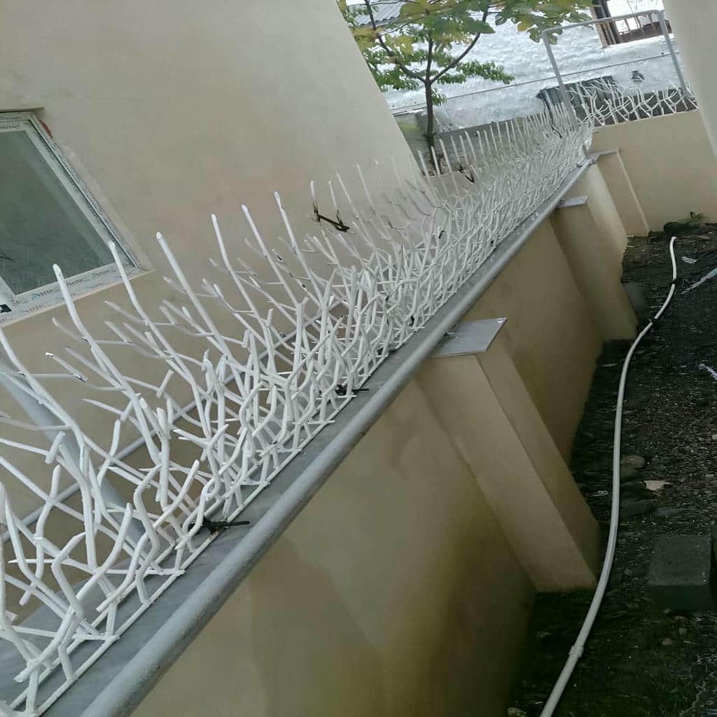 نصب حفاظ شاخ گوزنی آهنی محوطه تجاری در کیش