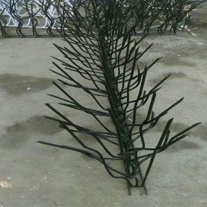 حفاظ شاخ گوزنی در استان مازندران