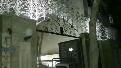 حفاظ شاخ گوزنی آهنی در کردان