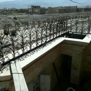 حفاظ شاخ گوزنی آهنی در سقز