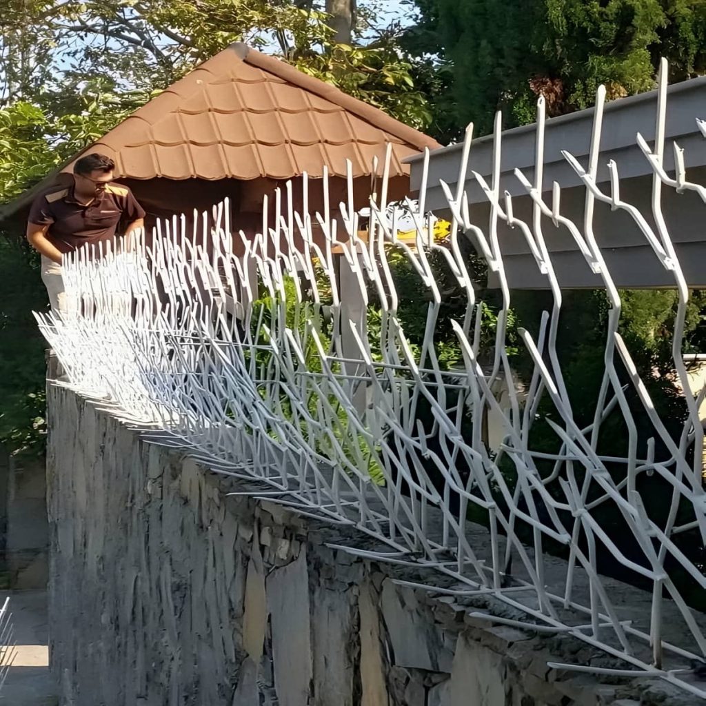 کارخانه حفاظ شاخ گوزنی دیوار ویلایی در بندر بوشهر