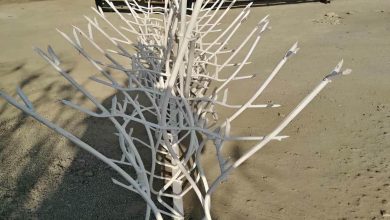 حفاظ شاخ گوزنی آهنی در محمدشهر