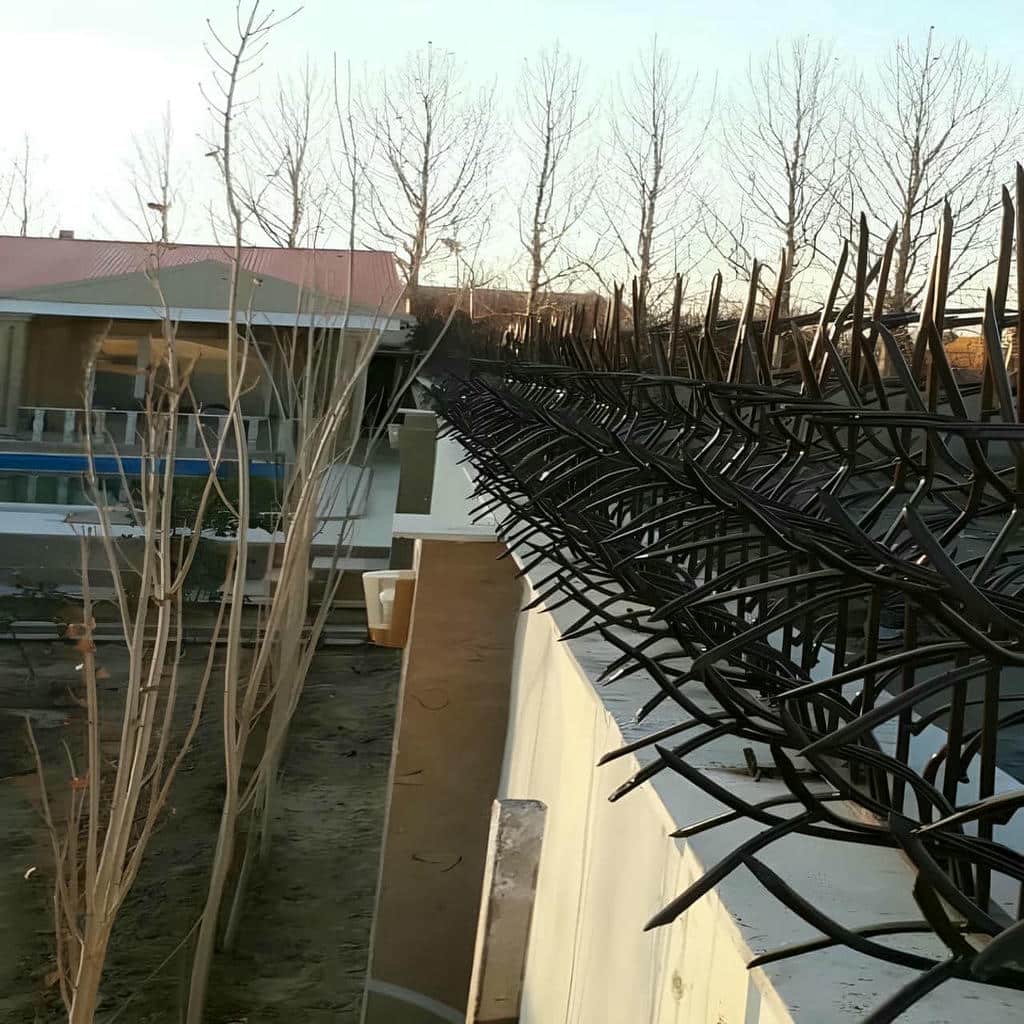 فروش حفاظ شاخ گوزنی روی دیوار در شیراز