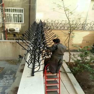 حفاظ شاخ گوزنی آهنی در ایرانشهر
