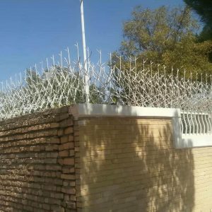 حفاظ شاخ گوزنی در پردیس