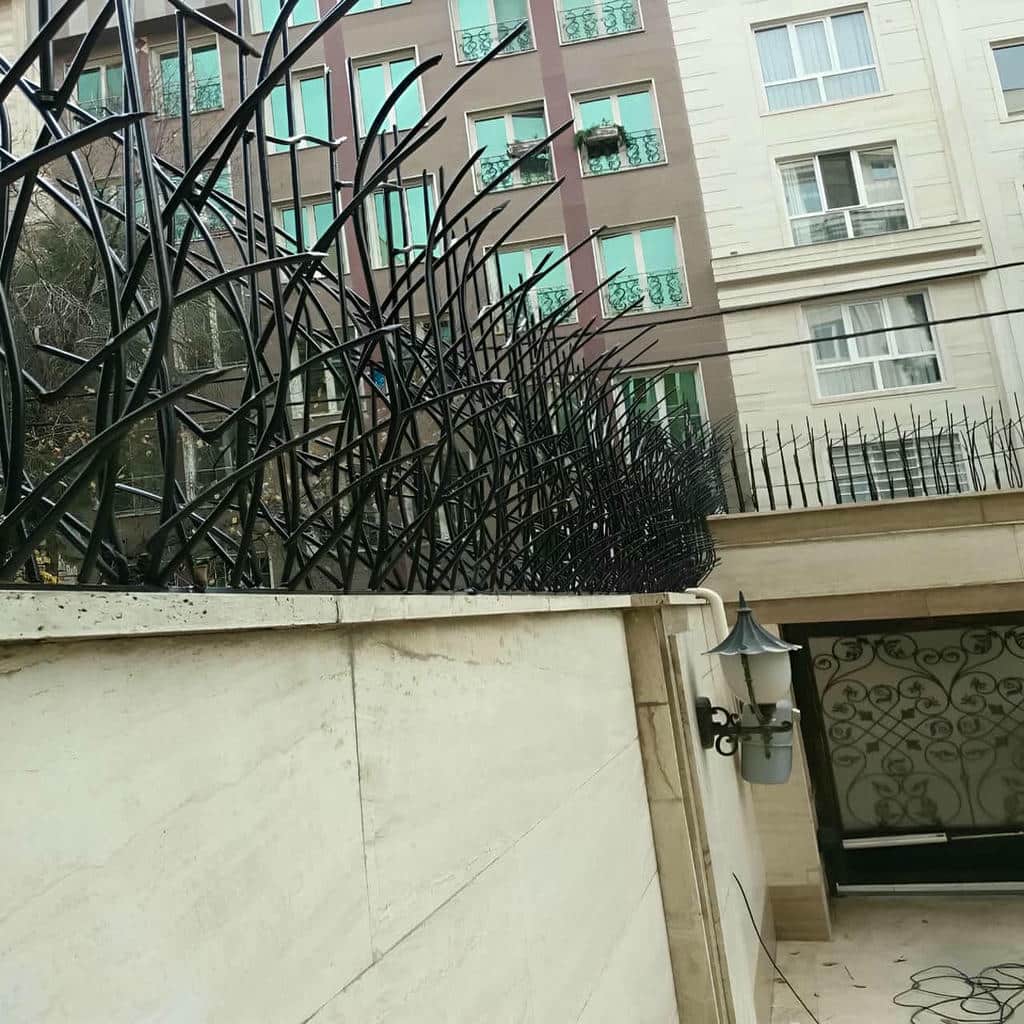 قیمت حفاظ شاخ گوزنی دیوار ویلایی در کرمان