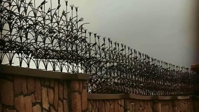 حفاظ شاخ گوزنی آهنی در چالوس