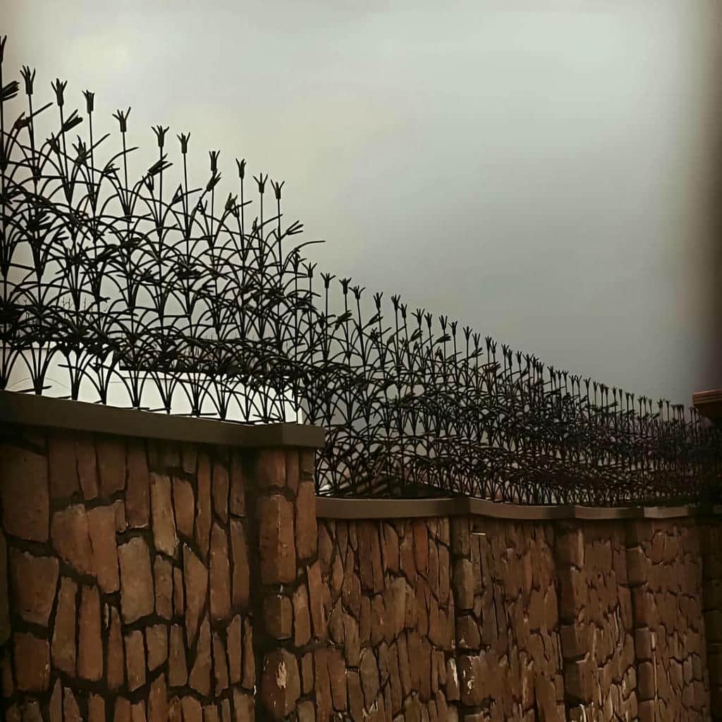 حفاظ شاخ گوزنی آهنی در چالوس
