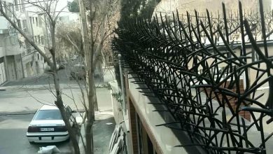 حفاظ شاخ گوزنی آهنی در مشهد