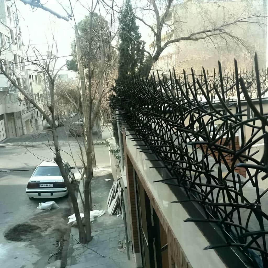 حفاظ شاخ گوزنی آهنی در مشهد