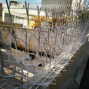 حفاظ شاخ گوزنی آهنی در ایلام
