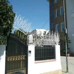 حفاظ شاخ گوزنی و خرید آن برای امنیت بیشتر دیوار ساختمان
