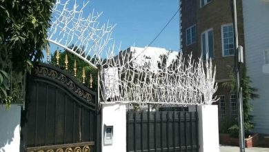 حفاظ شاخ گوزنی با تراکم مناسب روی دیوار