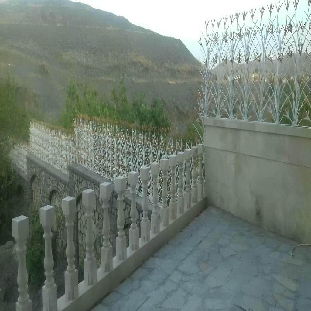 کارخانه حفاظ شاخ گوزنی آهنی دیوار ویلایی در آبادان