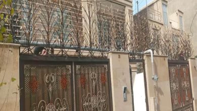 حفاظ شاخ گوزنی در گنبدکاووس